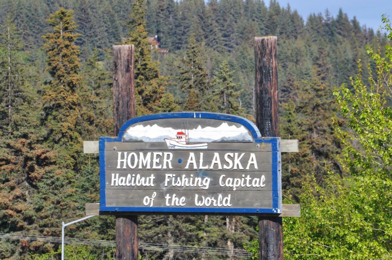Homerhome Oda fotoğraf